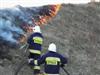Kliknij aby obejrzec w pelnym rozmiarze
