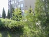 Kliknij aby obejrzec w pelnym rozmiarze 
