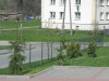 Kliknij aby obejrzec w pelnym rozmiarze 